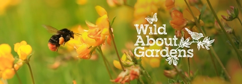 Wild About Gardens banner featuring a bee