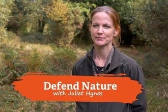 Defend Nature YouTube thumbnail - Juliet Hynes