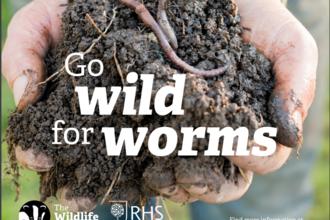 Text: Go wild for worms