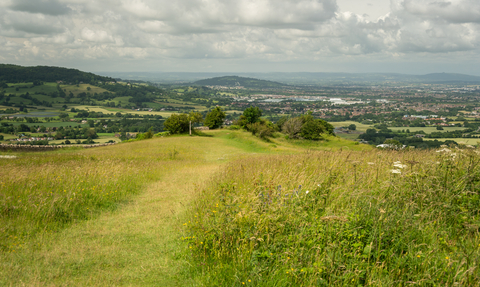The view and mown path at Crickley Hill