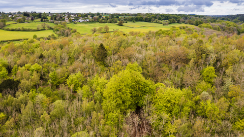 An aerial view of Siccaridge Wood and the wider golden valley (c) Nick Turner