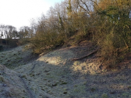 Stenders Quarry Nature Reserve before the project