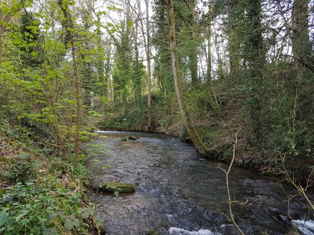 Frome Banks nature reserve