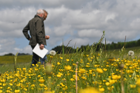 Two people standing in a field of grasses and flowers, the flowers are in focus