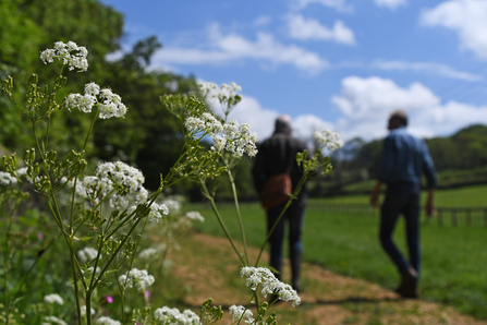 White flowers are in focus on the left, and two people walking on a path past a field on the right