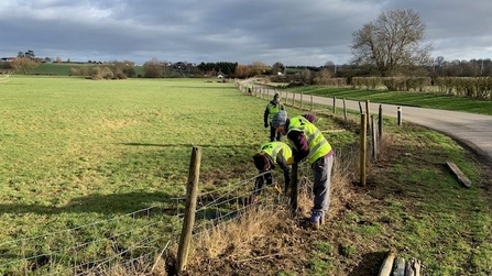 Repairing the stock fence at Fromebridge