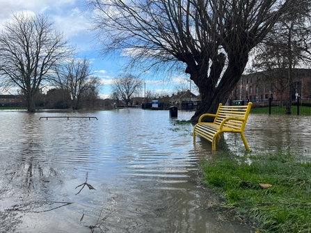 A flooded park with a yellow bench and trees