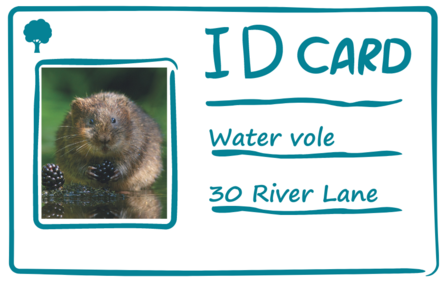 An ID card with a picture of a water vole