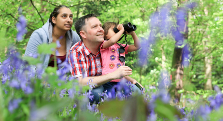 Man, woman and child are in a bluebell wood. The child is looking through some binoculars into the trees.