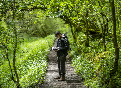 Man on path in forest carrying out HabiMapping duties