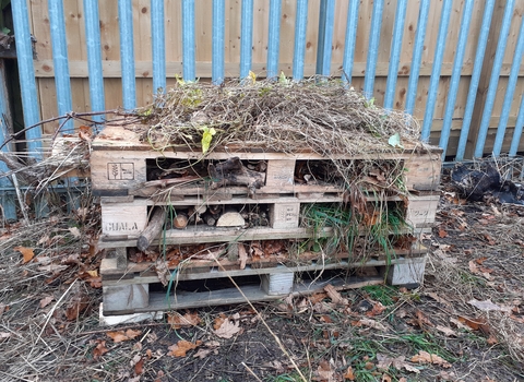bug hotel built from pallets and natural materials