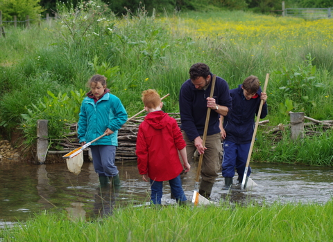 Pond dipping with Will Masefield at Greystones Farm