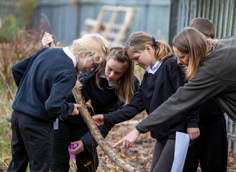 Children and member of staff looking for bugs under a log