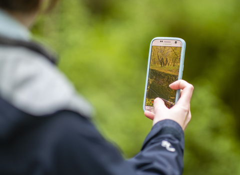A person taking a photo in nature with a smartphone