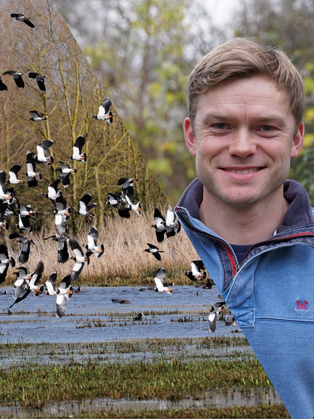 Harry's Mission for the Severn Hams
