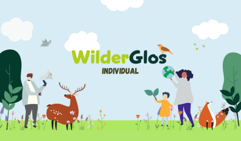WilderGlos_Individual - picture of people and animals centered around title - WilderGlos INDIVIDUAL