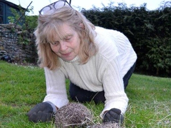 Jane and her hedgehogs