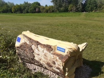 Wildlife Bench in City Bank