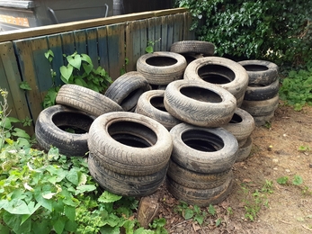 Tyres removed from Painswick Stream