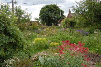 Wildlife garden (C) Helen Freeston