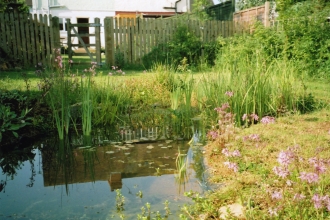 Garden pond (C) S Mason