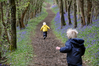 Boys walking in bluebells (C) Emma Bradshaw