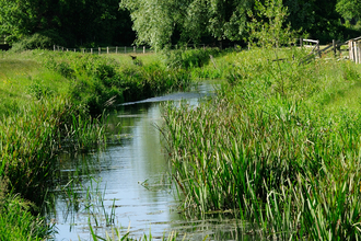 River Cam