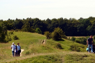Barrow Wake