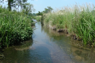 Cotswold Rivers