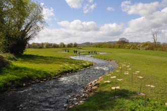 Severn Vale