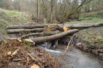 Natural flood management 