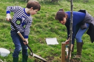 Tree planting