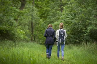 Two people walking in the countryside away from the camera