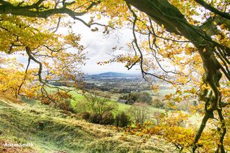 Adam Smith - Crickley Hill.jpg