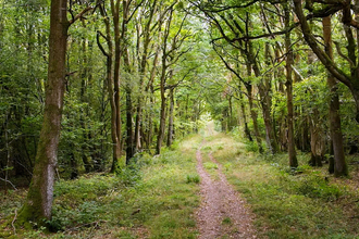 Lower Woods Ride