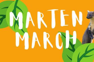 Marten March 2