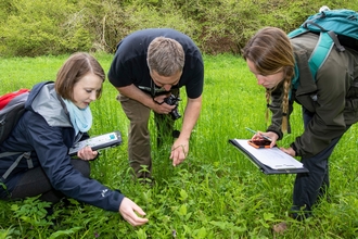 3 people in a green meadow crouched to look at plants 