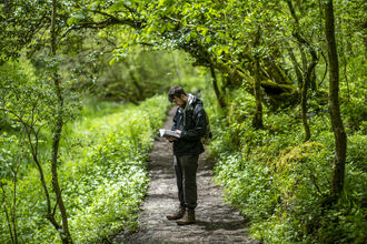 Man on path in forest carrying out HabiMapping duties