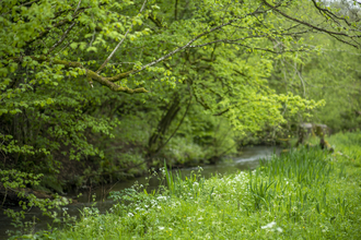 Sapperton Valley (c) Nick Turner