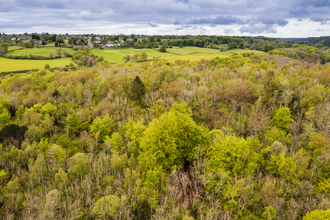 An aerial view of Siccaridge Wood and the wider golden valley (c) Nick Turner
