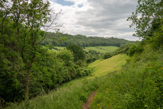 A view of the valley from Snows Farm 