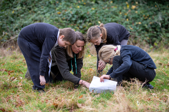 Children search for bugs in the grass