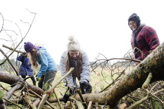 Young people collecting wood