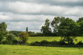 Pastures at Greystones Farm
