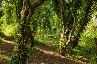 Robinswood Hill (c) Nathan Millar