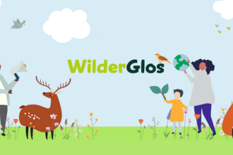 WilderGlos_GWT