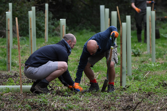 Corporate tree planting