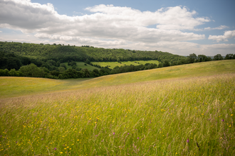 Snows Farm meadows