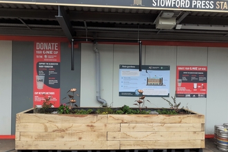 Planted rain garden at Kingsholm Stadium