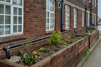 Rain Gardens at The Friendship Café